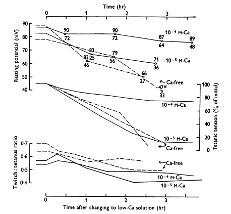 Effect of lowering calcium concentration in the solution bathing a frog sartorius muscle on mean resting potentials (upper curves; total range of potentials also shown), tetanic tensions (middle curves) and the twitch:tetanus ratio (lower curves). Frog sartorius muscle, temperature 0-1 ^{o}C. Square pulses of 1 ms duration were applied through two wire electrodes so as to stimulate the whole muscle. Calcium-free solution contained 0.1 mM EDTA. (Reprinted with permission from ).