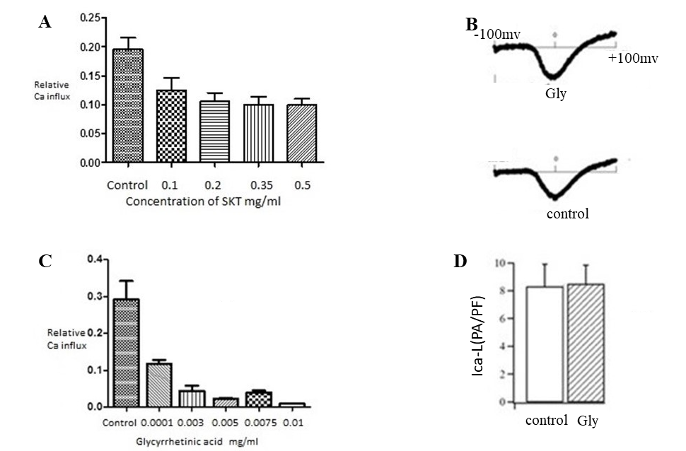 Fluorescence imaging obtained for actions of SKT (A) and Glycyrrhetinic acid (B) on the pore-forming subunit of the L-type calcium channel expressed in Human Embryonic Kidney (HEK) cells. The dose-response relations were obtained by subtracting calcium imaging levels in conditions when the channels are completely closed from levels when the channels are fully or partly open. The right hand panel shows that experiments using patch clamp recordings at constant voltage do not show the reduced calcium influx. (C): examples of patch clamp recordings. (D): bar plot showing no statistically significant reduction in calcium current. From .
