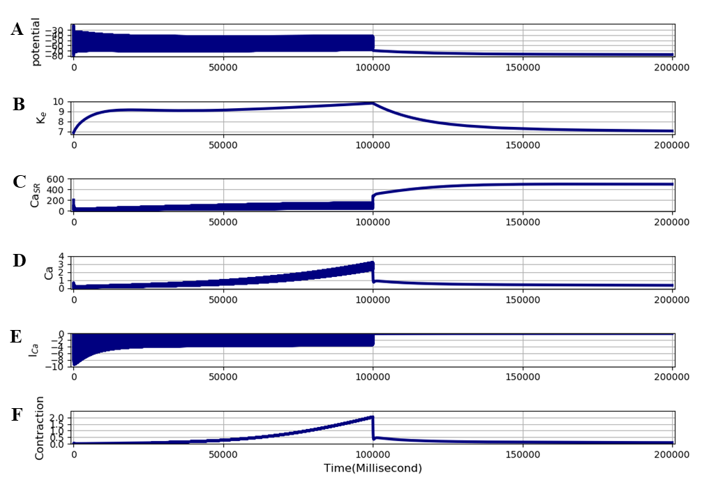 The extended model was run for 200 seconds at a stimulation frequency of 100 Hz to produce tetanic contractions leading rapidly to fatigue. The stimuli were then stopped after 100 seconds. The traces are: A - membrane potential, B - interstitial potassium, C - SR calcium, D - free intracellular calcium, E - calcium current (ICaL), F - and contraction (cross-bridge reaction). The results presented in this figure can be reproduced with the Fig08.sedml
