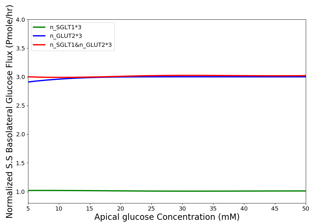 Normalised steady state basolateral glucose flux versus different stimulus of glucose in the lumen when number of SGLT1 is 3 fold higher(green), number of GLUT2 is 3 fold higher(blue) and number of both SGLT1 & GLUT2 are 3 fold higher(red). The results presented in the  can be reproduced with the Fig07.py script in OpenCOR and Fig07-plot.py script