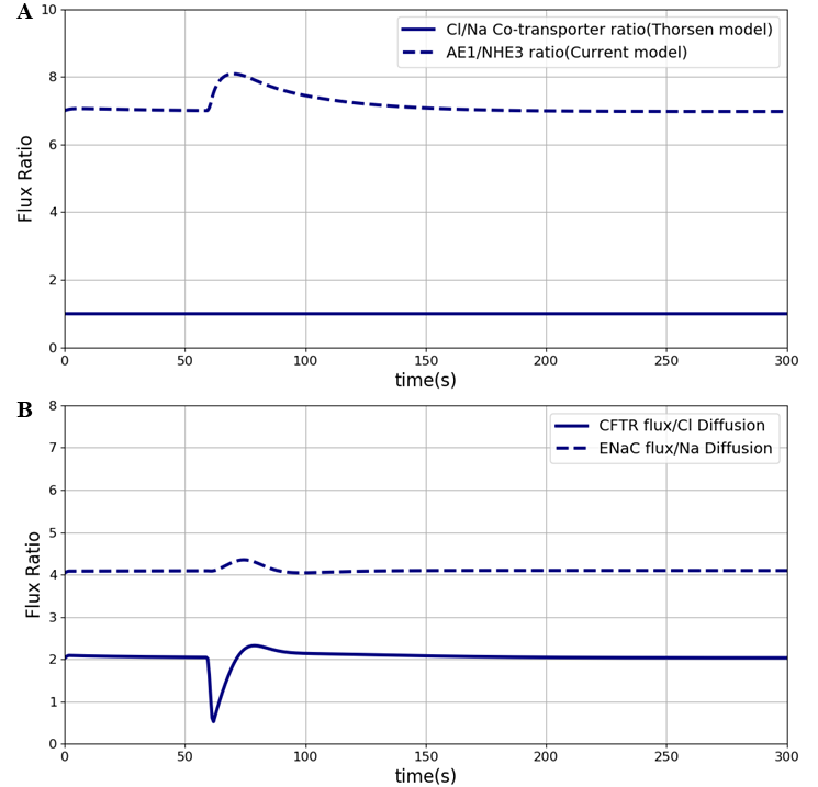 Sodium flux and Chloride flux through NHE3 and AE1 compare to NaCl co-transporter flux in the Thorsen model. The results presented in the can be reproduced with the Fig08.py script in OpenCOR and Fig08-plot.py
