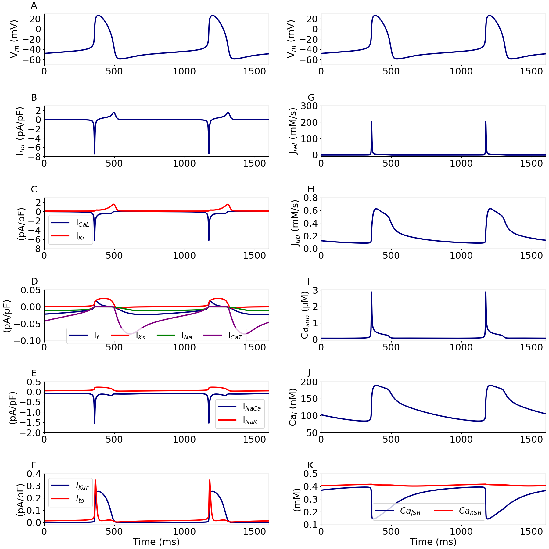 Time course of the simulated action potential and its underlying ionic currents.