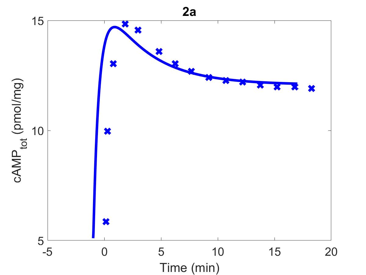 The primary data (x) of Figure 2 with our reproduction of all subfigures (-). Note: (2c) PKA\ activation = \frac{[PKACI]}{2*[PKAI_{tot}]}