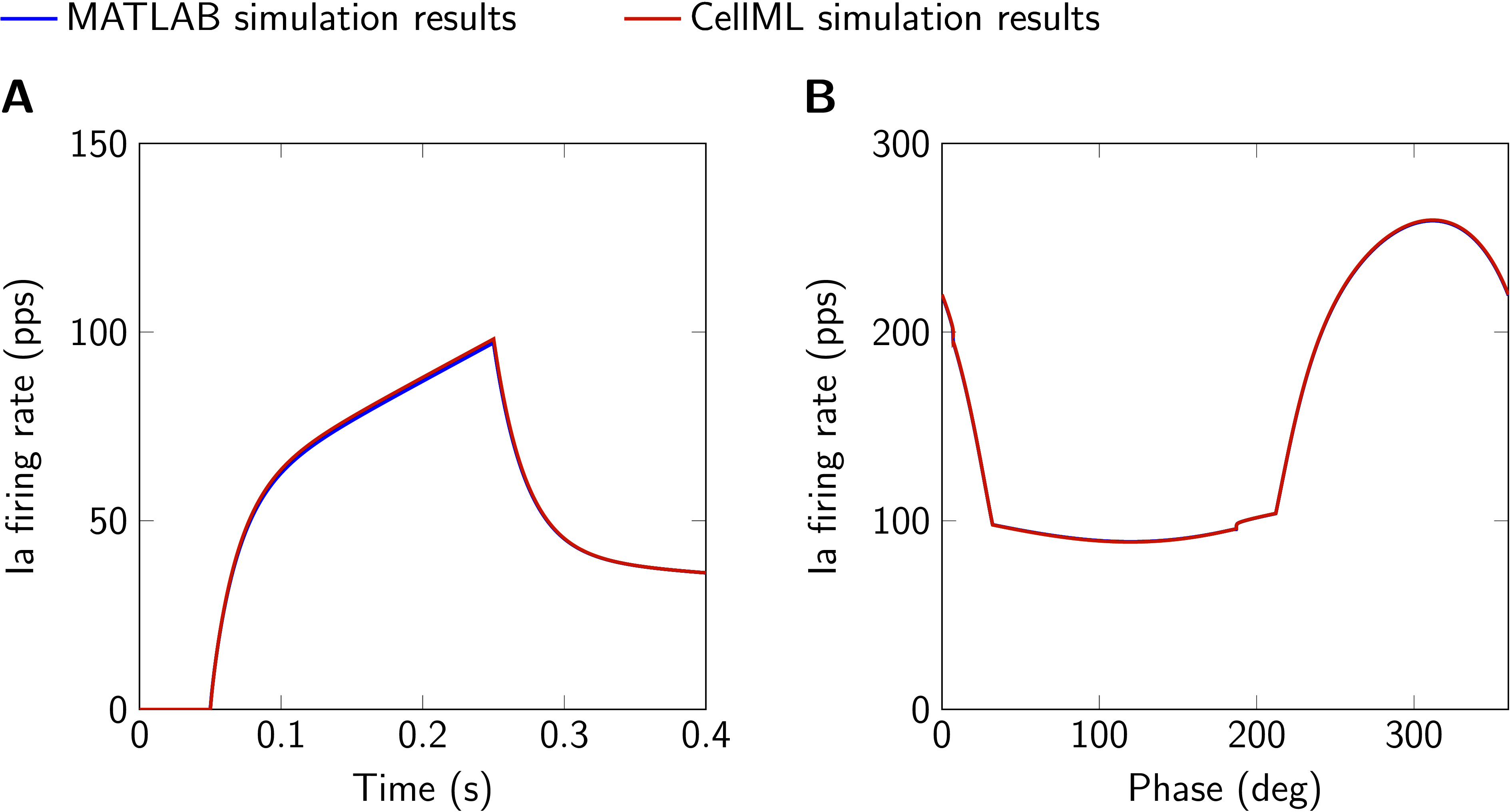 Comparison of simulation results obtained with MATLAB and CellML implementations. A: 6 mm ramp-and-hold stretch, ramp velocity 30 mm s⁻¹, no fusimotor drive. B: Sinusoidal stretch (1.4 mm peak-to-peak, mean displacement 4 mm, frequency 1 Hz, second of two cycles), static gamma drive 50 pps, dynamic gamma drive 125 pps. Ia firing rate and fusimotor drive are given in pulses per second (pps). This figure is created by running both, Fig03.sedml and Fig03.m.