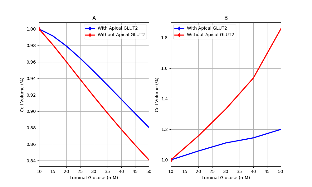 Cell volume behaviour in response to different luminal glucose levels in (A) our model and (B) Naftalin’s (2014) model. Values are normalised to baseline values. This figure corresponds to Figure 9 in the primary paper and can be reproduced using Figure07.py.